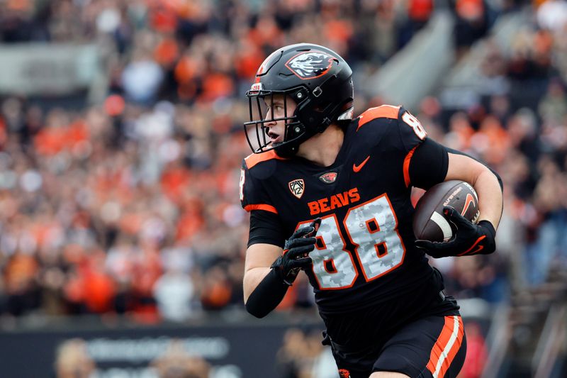 Nov 11, 2023; Corvallis, Oregon, USA; Oregon State Beavers tight end Jack Velling (88) runs after a catch against during the first half against the Stanford Cardinal at Reser Stadium. Mandatory Credit: Soobum Im-USA TODAY Sports