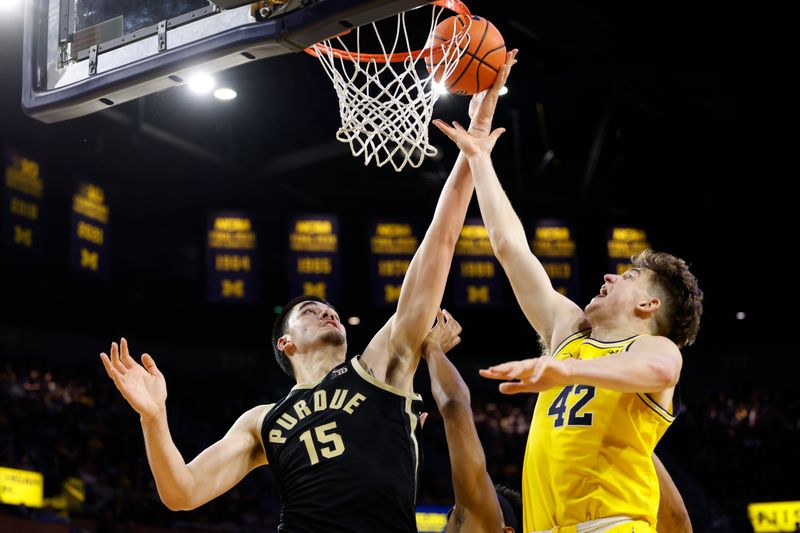 Feb 25, 2024; Ann Arbor, Michigan, USA;  Purdue Boilermakers center Zach Edey (15) grabs the rebound over Michigan Wolverines forward Will Tschetter (42) in the second half at Crisler Center. Mandatory Credit: Rick Osentoski-USA TODAY Sports