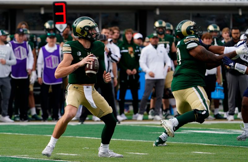 Nov 18, 2023; Fort Collins, Colorado, USA;  Colorado State Rams quarterback Brayden Fowler-Nicolosi (16) looks for an open receiver at Sonny Lubick Field at Canvas Stadium. Mandatory Credit: Michael Madrid-USA TODAY Sports