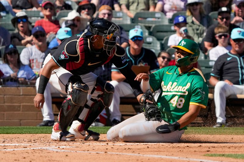 Mar 11, 2024; Salt River Pima-Maricopa, Arizona, USA; Arizona Diamondbacks catcher Gabriel Moreno (14) tags out Oakland Athletics shortstop Darrell Haernaiz (48) trying to score in the second inning at Salt River Fields at Talking Stick. Mandatory Credit: Rick Scuteri-USA TODAY Sports