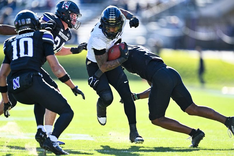 Nov 18, 2023; Evanston, Illinois, USA;  Purdue Boilermakers running back Tyrone Tracy Jr. (3) runs the ball in the second quarter against the Northwestern Wildcats at Ryan Field. Mandatory Credit: Jamie Sabau-USA TODAY Sports