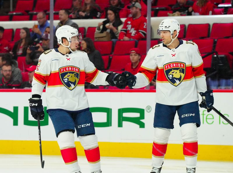 Mar 14, 2024; Raleigh, North Carolina, USA; Florida Panthers right wing Vladimir Tarasenko (10) and center Sam Reinhart (13) get ready before the start of the game against the Carolina Hurricanes at PNC Arena. Mandatory Credit: James Guillory-USA TODAY Sports