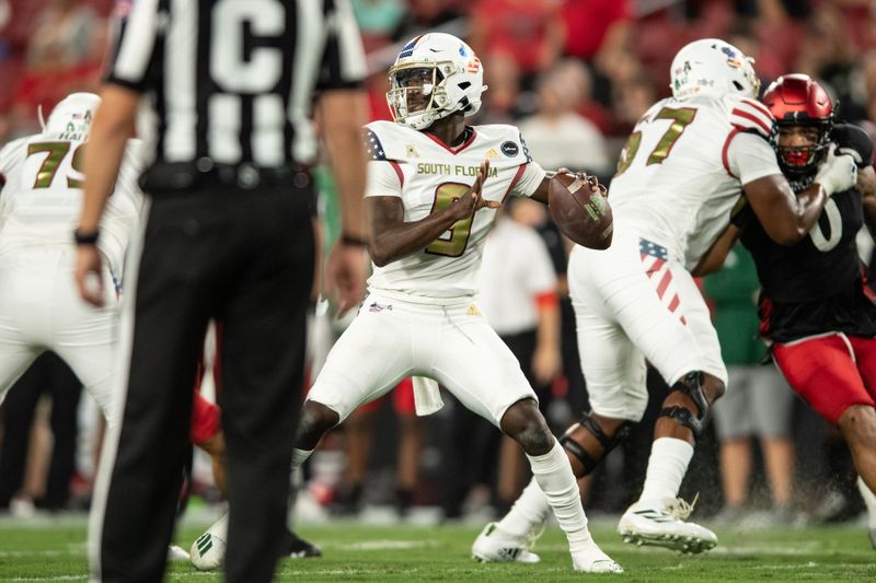 Nov 12, 2021; Tampa, Florida, USA;  South Florida Bulls quarterback Timmy McClain (9) throws the ball in the first quarter against the Cincinnati Bearcats at Raymond James Stadium. Mandatory Credit: Jeremy Reper-USA TODAY Sports