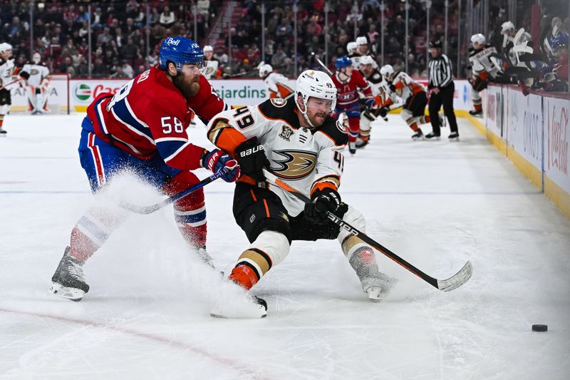 Feb 13, 2024; Montreal, Quebec, CAN; Montreal Canadiens defenseman David Savard (58) defends against Anaheim Ducks left wing Max Jones (49) during the first period at Bell Centre. Mandatory Credit: David Kirouac-USA TODAY Sports