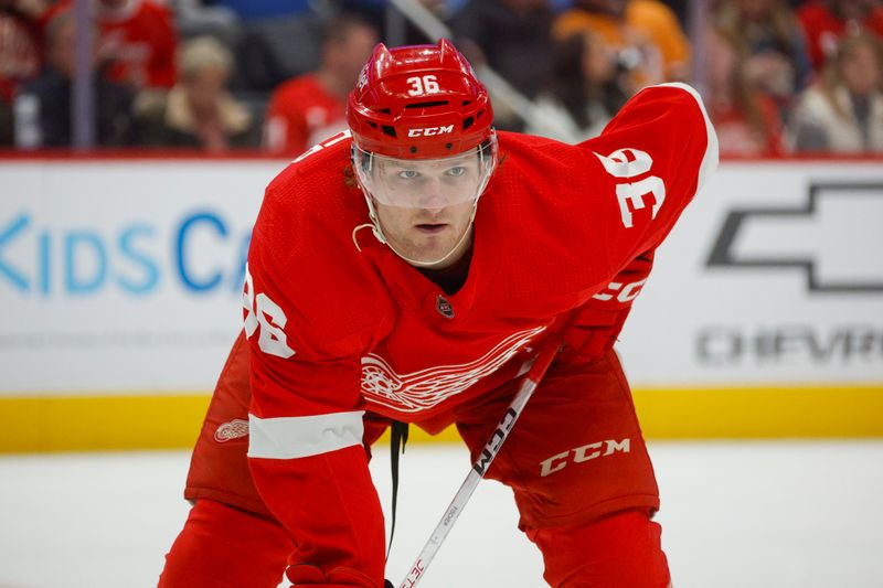 Jan 21, 2024; Detroit, Michigan, USA; Detroit Red Wings right wing Christian Fischer (36) looks on during the second period against the Tampa Bay Lightning at Little Caesars Arena. Mandatory Credit: Brian Bradshaw Sevald-USA TODAY Sports