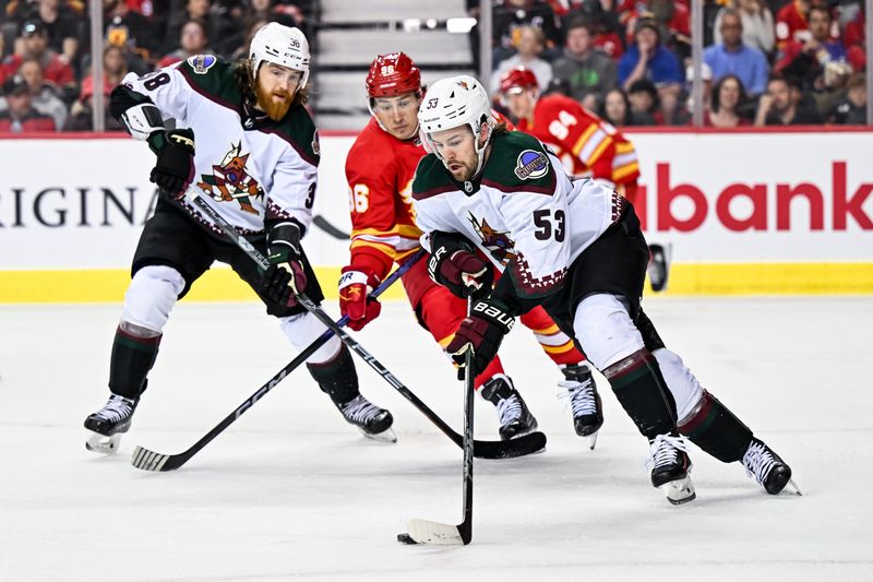 Apr 14, 2024; Calgary, Alberta, CAN; Arizona Coyotes left wing Michael Carcone (53) skates with the puck as he tries to get past Calgary Flames left wing Andrei Kuzmenko (96) during the first period at Scotiabank Saddledome. Mandatory Credit: Brett Holmes-USA TODAY Sports