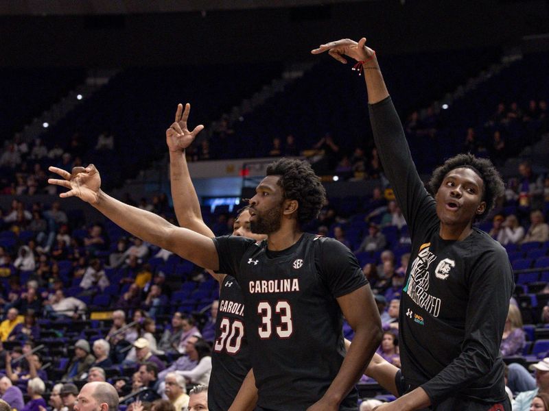 Feb 18, 2023; Baton Rouge, Louisiana, USA; South Carolina Gamecocks forward Daniel Hankins-Sanford (30) and forward Josh Gray (33) reacts to a three point basket against the LSU Tigers during the second half at Pete Maravich Assembly Center. Mandatory Credit: Stephen Lew-USA TODAY Sports