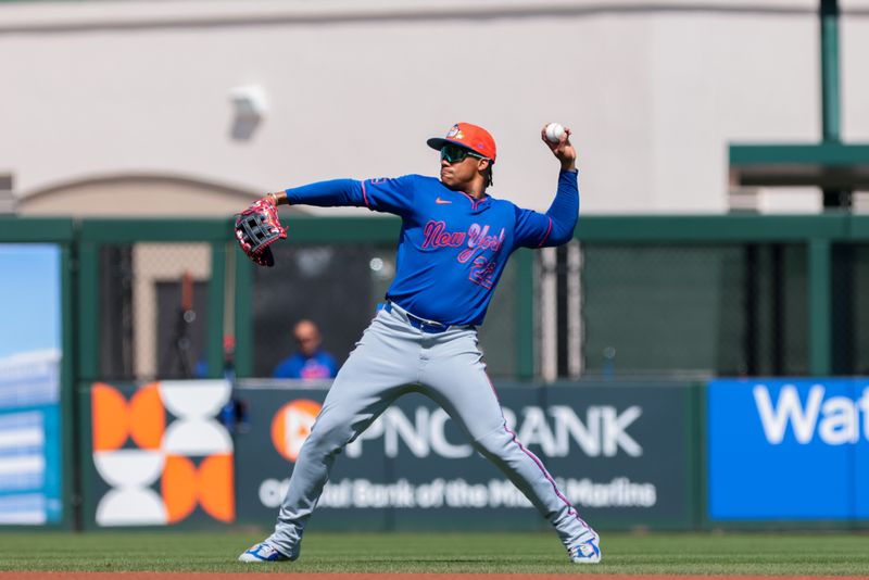Feb 27, 2026; Jupiter, Florida, USA; New York Mets left fielder Juan Soto (22) works before the game against the St. Louis Cardinals at Roger Dean Chevrolet Stadium. Mandatory Credit: Sam Navarro-Imagn Images