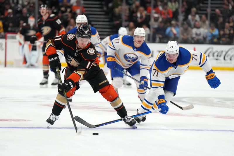 Feb 15, 2023; Anaheim, California, USA; Anaheim Ducks center Trevor Zegras (11) and Buffalo Sabres left wing Victor Olofsson (71) battle for the puck in the second period  at Honda Center. Mandatory Credit: Kirby Lee-USA TODAY Sports