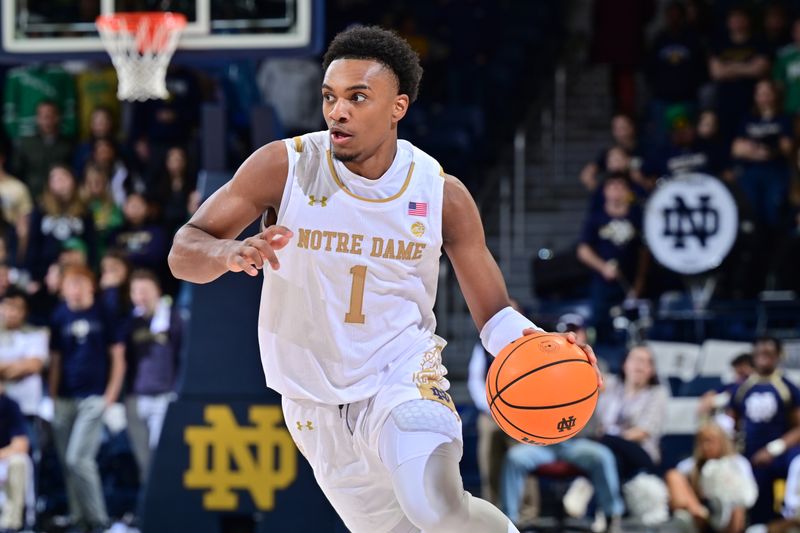 Jan 28, 2023; South Bend, Indiana, USA; Notre Dame Fighting Irish guard JJ Starling (1) dribbles the ball against the Louisville Cardinals in the second half at the Purcell Pavilion. Mandatory Credit: Matt Cashore-USA TODAY Sports