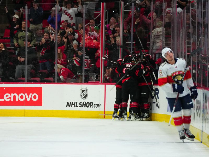 Mar 14, 2024; Raleigh, North Carolina, USA; Carolina Hurricanes center Martin Necas (88) celebrates his goal against the Florida Panthers during the second period at PNC Arena. Mandatory Credit: James Guillory-USA TODAY Sports