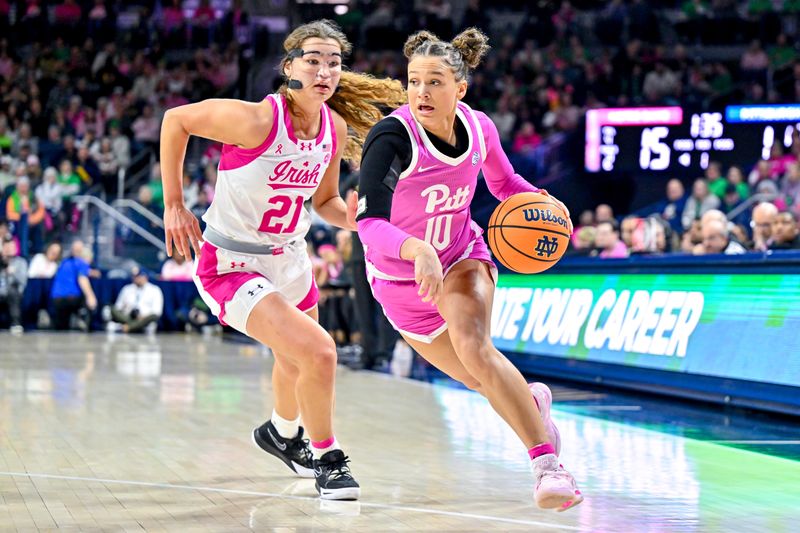 Feb 4, 2024; South Bend, Indiana, USA; Pittsburgh Panthers guard Bella Perkins (10) dribbles past Notre Dame Fighting Irish forward Maddy Westbeld (21) in the first half at the Purcell Pavilion. Mandatory Credit: Matt Cashore-USA TODAY Sports