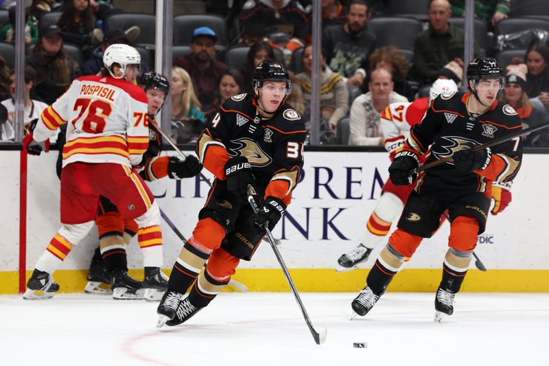 Dec 21, 2023; Anaheim, California, USA;  Anaheim Ducks defenseman Pavel Mintyukov (34) controls the puck during the third period against the Calgary Flames at Honda Center. Mandatory Credit: Kiyoshi Mio-USA TODAY Sports