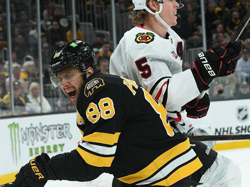 Oct 9, 2025; Boston, Massachusetts, USA; Boston Bruins right wing David Pastrnak (88) reacts after getting hit by Chicago Blackhawks defenseman Connor Murphy (5) during the first period at TD Garden. Mandatory Credit: Bob DeChiara-Imagn Images