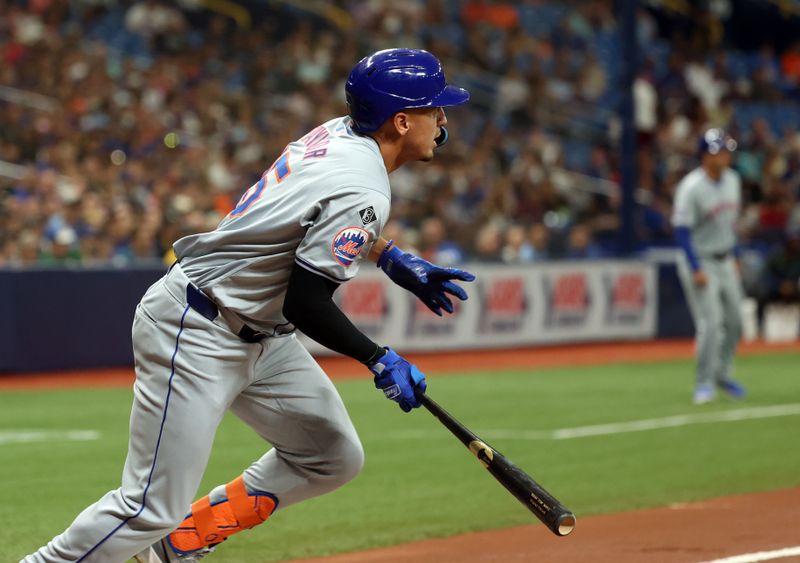 May 3, 2024; St. Petersburg, Florida, USA;  New York Mets outfielder Tyrone Taylor (15) singles against the Tampa Bay Rays during the second inning at Tropicana Field. Mandatory Credit: Kim Klement Neitzel-USA TODAY Sports