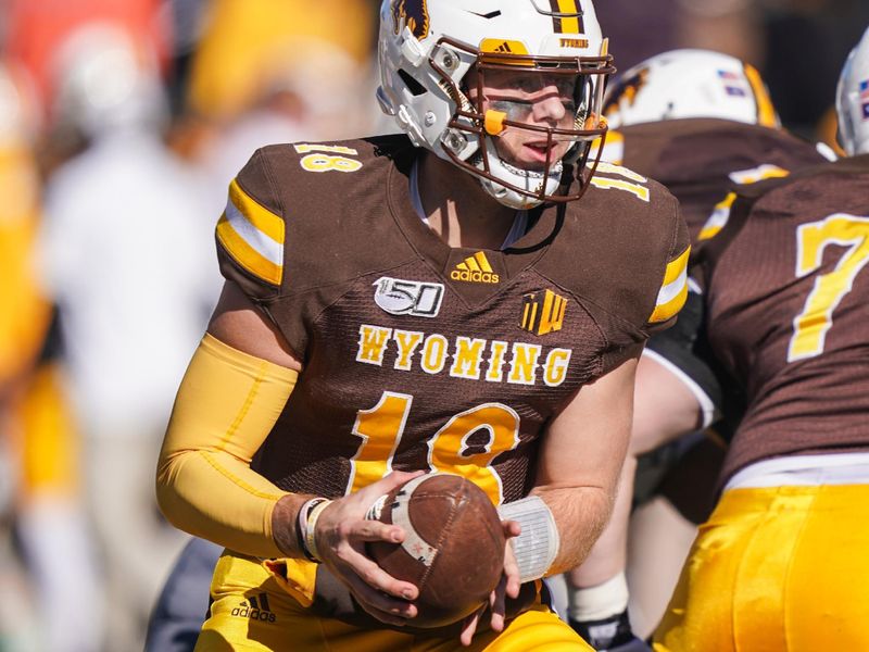 Oct 26, 2019; Laramie, WY, USA; Wyoming Cowboys quarterback Tyler Vander Waal (18) against the Nevada Wolf Pack during the fourth quarter at Jonah Field War Memorial Stadium. Mandatory Credit: Troy Babbitt-USA TODAY Sports