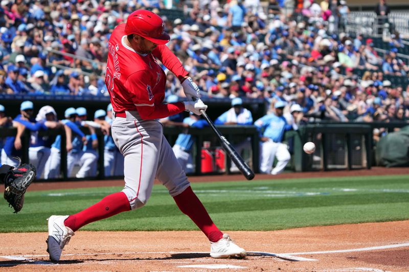 Mar 13, 2024; Surprise, Arizona, USA; Los Angeles Angels center fielder Jame Marisnick (10) bats against the Kansas City Royals during the first inning at Surprise Stadium. Mandatory Credit: Joe Camporeale-USA TODAY Sports