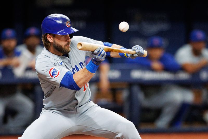 Jun 13, 2024; St. Petersburg, Florida, USA;  Chicago Cubs third baseman Patrick Wisdom (16) lays down a bunt against the Tampa Bay Rays in the fifth inning at Tropicana Field. Mandatory Credit: Nathan Ray Seebeck-USA TODAY Sports