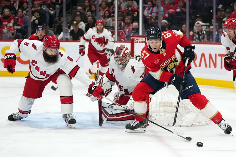 Nov 10, 2023; Sunrise, Florida, USA; Carolina Hurricanes defenseman Brent Burns (8) pokes the puck away from Florida Panthers right wing William Lockwood (67) during the second period at Amerant Bank Arena. Mandatory Credit: Jasen Vinlove-USA TODAY Sports