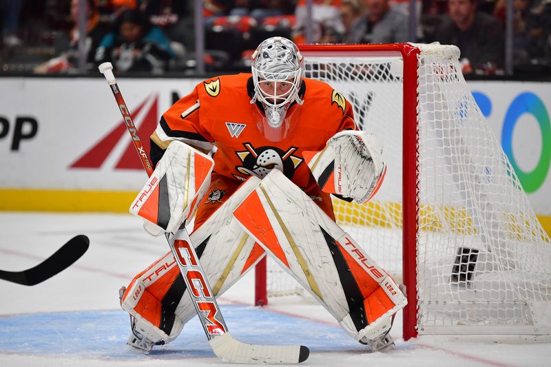 Oct 16, 2024; Anaheim, California, USA; Anaheim Ducks goaltender Lukas Dostal (1) defends the goal against Utah Hockey Club during the first period at Honda Center. Mandatory Credit: Gary A. Vasquez-Imagn Images