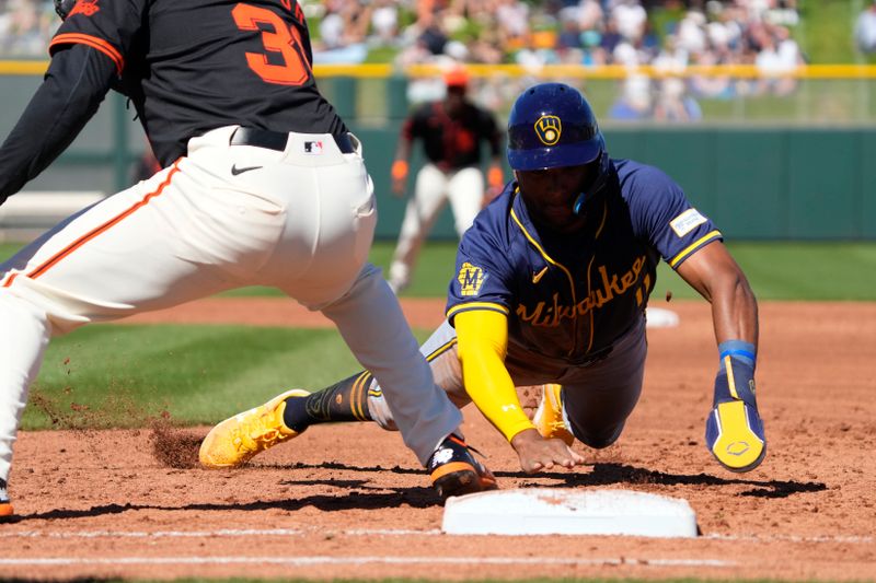 Mar 5, 2024; Scottsdale, Arizona, USA; Milwaukee Brewers Jackson Chourio (11) dives back into first base against the San Francisco Giants in the third inning at Scottsdale Stadium. Mandatory Credit: Rick Scuteri-USA TODAY Sports