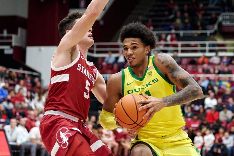 Jan 21, 2023; Stanford, California, USA; Oregon Ducks guard Rivaldo Soares (11) controls the ball against Stanford Cardinal guard Michael O'Connell (5) during the second half at Maples Pavilion. Mandatory Credit: Robert Edwards-USA TODAY Sports