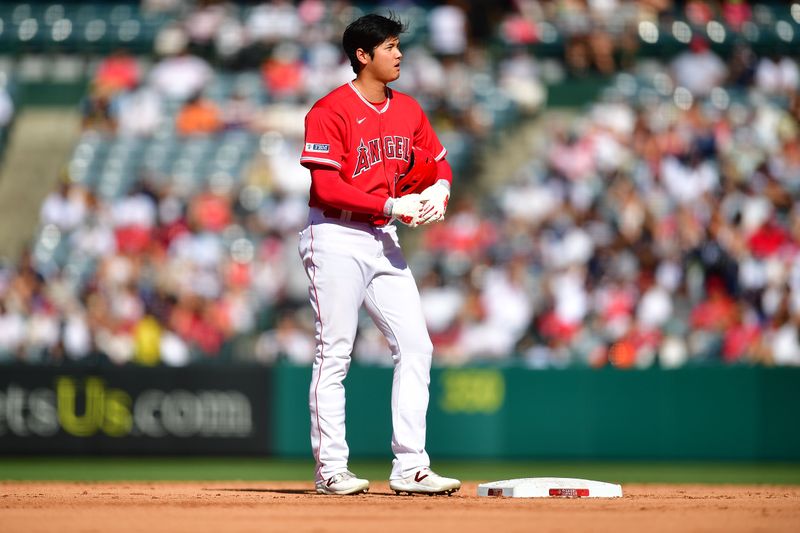 Jul 19, 2023; Anaheim, California, USA; Los Angeles Angels designated hitter Shohei Ohtani (17) during a stoppage in play against the New York Yankees third inning at Angel Stadium. Mandatory Credit: Gary A. Vasquez-USA TODAY Sports