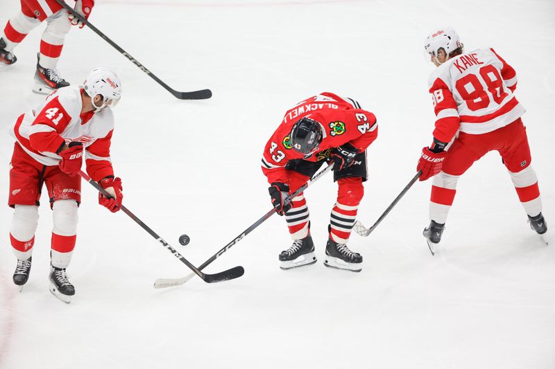 Feb 25, 2024; Chicago, Illinois, USA; Detroit Red Wings defenseman Shayne Gostisbehere (41) battles for the puck with Chicago Blackhawks center Colin Blackwell (43) during the first period at United Center. Mandatory Credit: Kamil Krzaczynski-USA TODAY Sports