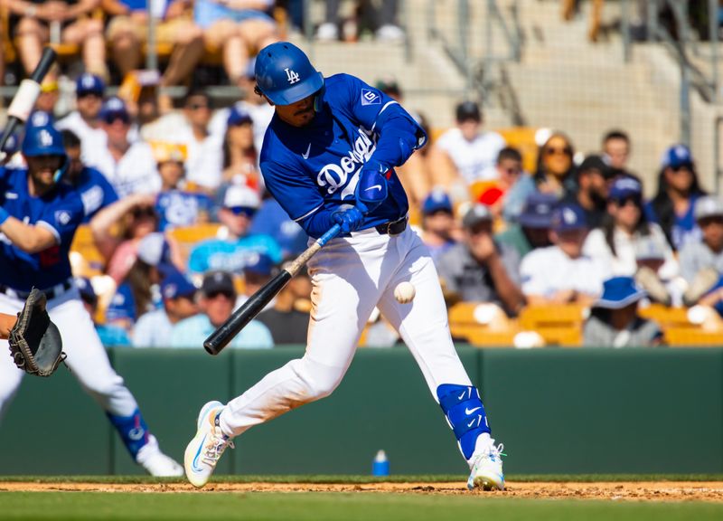 Feb 23, 2024; Phoenix, Arizona, USA; Los Angeles Dodgers outfielder Miguel Vargas against the San Diego Padres during a spring training game at Camelback Ranch-Glendale. Mandatory Credit: Mark J. Rebilas-USA TODAY Sports