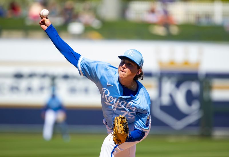 Mar 21, 2024; Surprise, Arizona, USA; Kansas City Royals pitcher Andrew Hoffmann against the Chicago White Sox during a spring training baseball game at Surprise Stadium. Mandatory Credit: Mark J. Rebilas-USA TODAY Sports