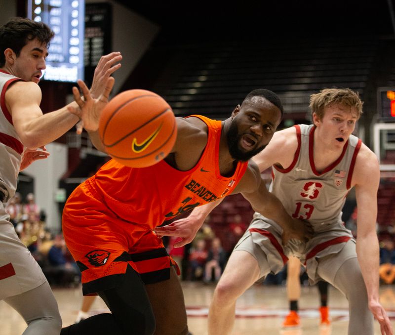 Jan 19, 2023; Stanford, California, USA; Stanford Cardinal forward James Keefe (22) pulls down a rebound in front of Oregon State Beavers forward Tyler Bilodeau (10) during the first half at Maples Pavilion. Mandatory Credit: D. Ross Cameron-USA TODAY Sports