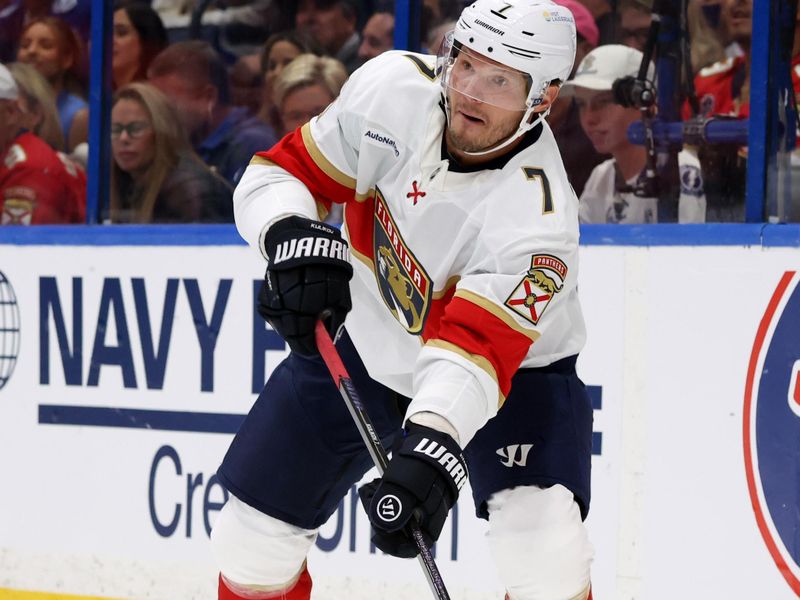 Apr 22, 2025; Tampa, Florida, USA; Florida Panthers defenseman Dmitry Kulikov (7) passes the puck against the Tampa Bay Lightning during the first period in game one of the first round of the 2025 Stanley Cup Playoffs at Amalie Arena. Mandatory Credit: Kim Klement Neitzel-Imagn Images