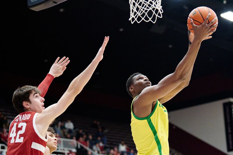 Jan 21, 2023; Stanford, California, USA; Oregon Ducks center N'Faly Dante (1) shoots a layup against Stanford Cardinal forward Maxime Raynaud (42) during the second half at Maples Pavilion. Mandatory Credit: Robert Edwards-USA TODAY Sports