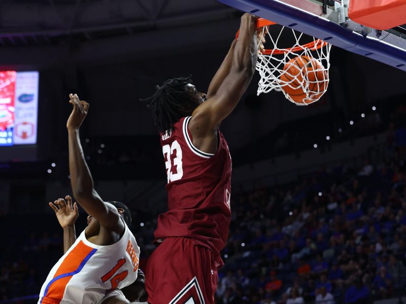 Jan 25, 2023; Gainesville, Florida, USA; South Carolina Gamecocks forward Josh Gray (33) dunks against the Florida Gators during the first half at Exactech Arena at the Stephen C. O'Connell Center. Mandatory Credit: Kim Klement-USA TODAY Sports