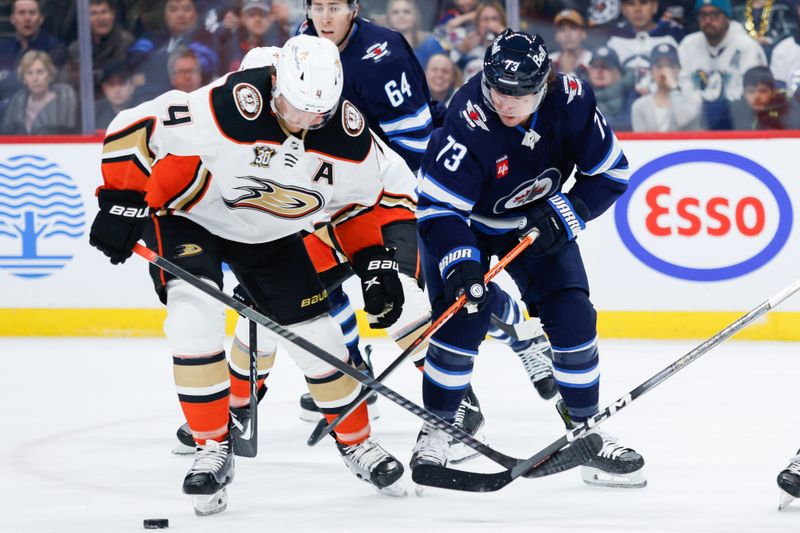 Mar 15, 2024; Winnipeg, Manitoba, CAN; Winnipeg Jets forward Tyler T0ffoli (73) and Anaheim Ducks defenseman Cam Fowler (4) battle for the puck during the second period at Canada Life Centre. Mandatory Credit: Terrence Lee-USA TODAY Sports