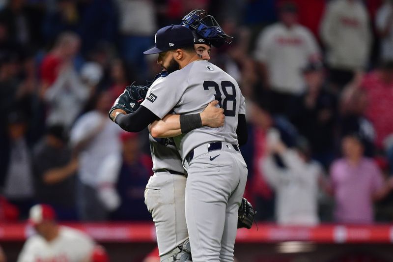 May 27, 2025; Anaheim, California, USA; New York Yankees catcher Austin Wells (28) and pitcher Devin Williams (38) celebrate the victory against the Los Angeles Angels at Angel Stadium. Mandatory Credit: Gary A. Vasquez-Imagn Images