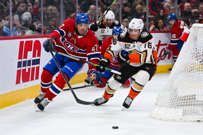 Feb 13, 2024; Montreal, Quebec, CAN; Montreal Canadiens defenseman Jayden Struble (47) defends against Anaheim Ducks center Ryan Strome (16) during the first period at Bell Centre. Mandatory Credit: David Kirouac-USA TODAY Sports