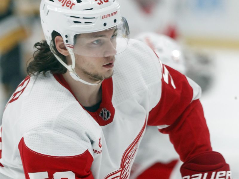 Mar 17, 2024; Pittsburgh, Pennsylvania, USA;  Detroit Red Wings defenseman Moritz Seider (53) warms up before the game against the Pittsburgh Penguins at PPG Paints Arena. Mandatory Credit: Charles LeClaire-USA TODAY Sports