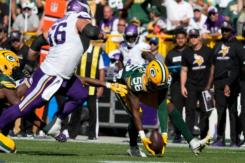 Green Bay Packers linebacker Edgerrin Cooper (56) recovers a fumble by the Minnesota Vikings during the second half of an NFL football game Sunday, Sept. 29, 2024, in Green Bay, Wis. (AP Photo/Morry Gash)