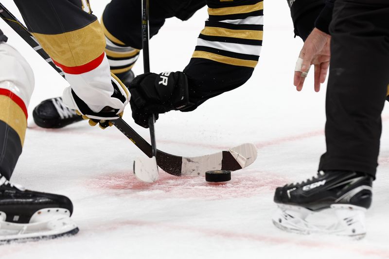 Feb 29, 2024; Boston, Massachusetts, USA; The referee drops the puck on a faceoff during the third period of the game between the Boston Bruins and the Vegas Golden Knights at TD Garden. Mandatory Credit: Winslow Townson-USA TODAY Sports