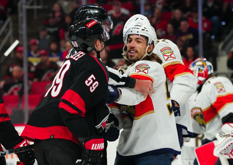 Mar 14, 2024; Raleigh, North Carolina, USA; Florida Panthers left wing Ryan Lomberg (94) and Carolina Hurricanes left wing Jake Guentzel (59) battle during the first period at PNC Arena. Mandatory Credit: James Guillory-USA TODAY Sports