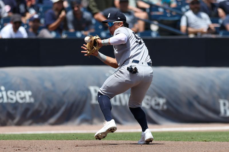 Apr 20, 2025; Tampa, Florida, USA; New York Yankees third baseman Oswaldo Cabrera (95) fields the ball against the Tampa Bay Rays in the first inning at George M. Steinbrenner Field. Mandatory Credit: Nathan Ray Seebeck-Imagn Images