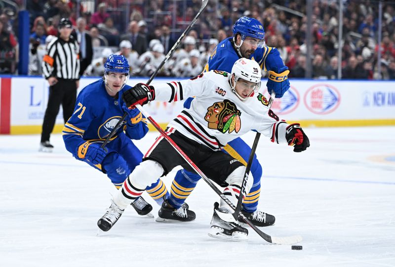 Nov 21, 2025; Buffalo, New York, USA; Chicago Blackhawks center Teuvo Teravainen (86) keeps the puck from Buffalo Sabres right wing Alex Tuch (89) in the first period at KeyBank Center. Mandatory Credit: Mark Konezny-Imagn Images