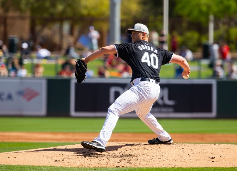 Mar 14, 2024; Phoenix, Arizona, USA; Chicago White Sox pitcher Michael Soroka against the Los Angeles Angels during a spring training baseball game at Camelback Ranch-Glendale. Mandatory Credit: Mark J. Rebilas-USA TODAY Sports