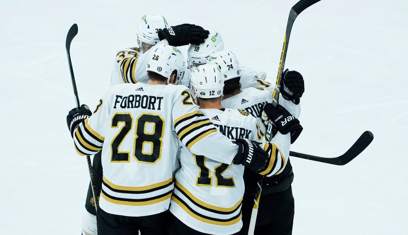 Oct 24, 2023; Chicago, Illinois, USA; Boston Bruins center Pavel Zacha (18) celebrates his goal against the Chicago Blackhawks during the second period at United Center. Mandatory Credit: David Banks-USA TODAY Sports