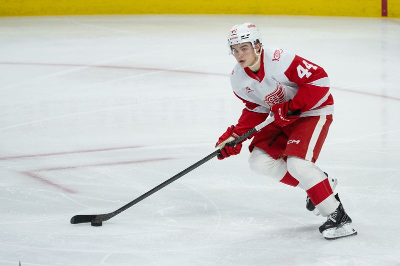 Jan 5, 2026; Ottawa, Ontario, CAN; Detroit Red Wings defenseman Axel Sandin-Pellikka (44) skates with the puck in the third period against the Ottawa Senators at the Canadian Tire Centre. Mandatory Credit: Marc DesRosiers-IMAGN Images