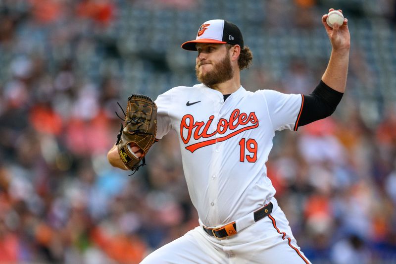 Jun 30, 2024; Baltimore, Maryland, USA; Baltimore Orioles pitcher Cole Irvin (19) throws a pitch during the second inning against the Texas Rangers at Oriole Park at Camden Yards. Mandatory Credit: Reggie Hildred-USA TODAY Sports