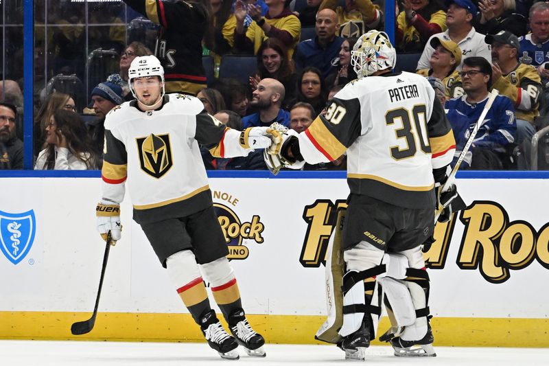 Dec 21, 2023; Tampa, Florida, USA; Las Vegas Golden Knights center Ivan Barbashev (49) celebrates with goaltender Jiri Patera (30) after scoring a goal in the first period against the Tampa Bay Lightning at Amalie Arena. Mandatory Credit: Jonathan Dyer-USA TODAY Sports