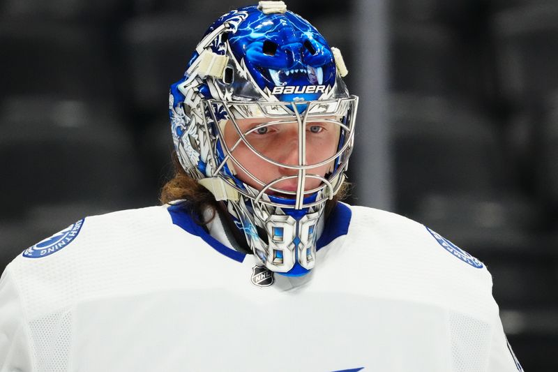 Feb 14, 2023; Denver, Colorado, USA; Tampa Bay Lightning goaltender Andrei Vasilevskiy before the game against the Colorado Avalanche at Ball Arena. Mandatory Credit: Ron Chenoy-USA TODAY Sports