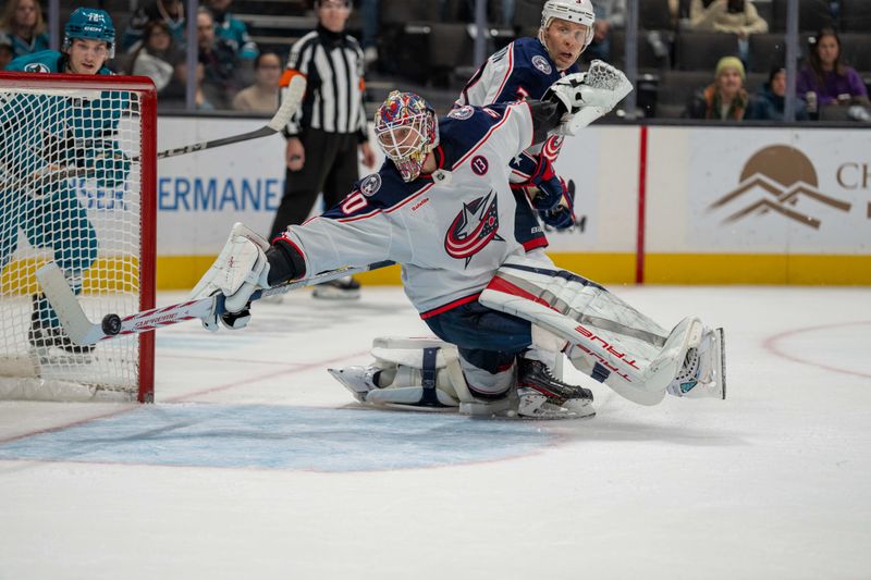 Nov 5, 2024; San Jose, California, USA;  San Jose Sharks defenseman Jack Thompson (not pictured) scores his first NHL goal against Columbus Blue Jackets goaltender Elvis Merzlikins (90) during the second period at SAP Center at San Jose. Mandatory Credit: Neville E. Guard-Imagn Images